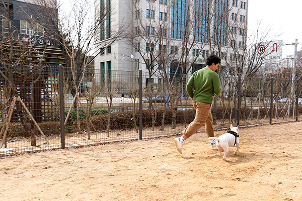 서울시 최장 규모인 ‘동작반려견공원’에서 반려견이 자유롭게 뛰어놀고 있는 모습